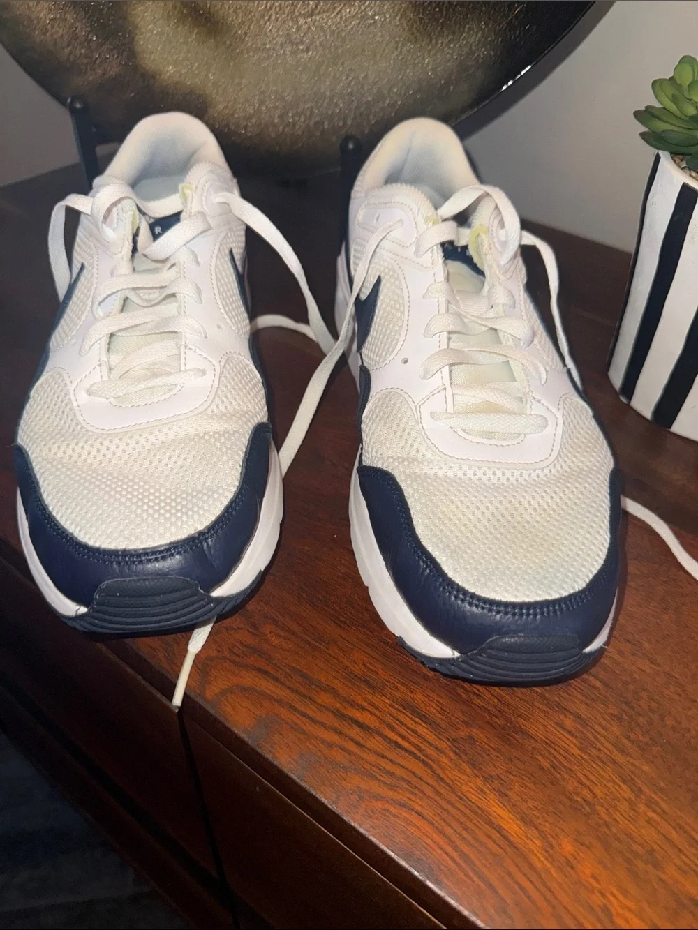 Nike Men’s White and Navy Low-Top Sneakers